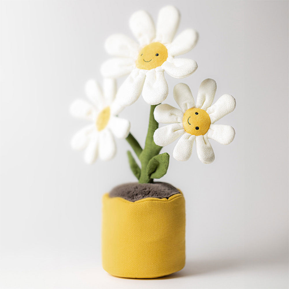 Amuseable Daisy, View 1