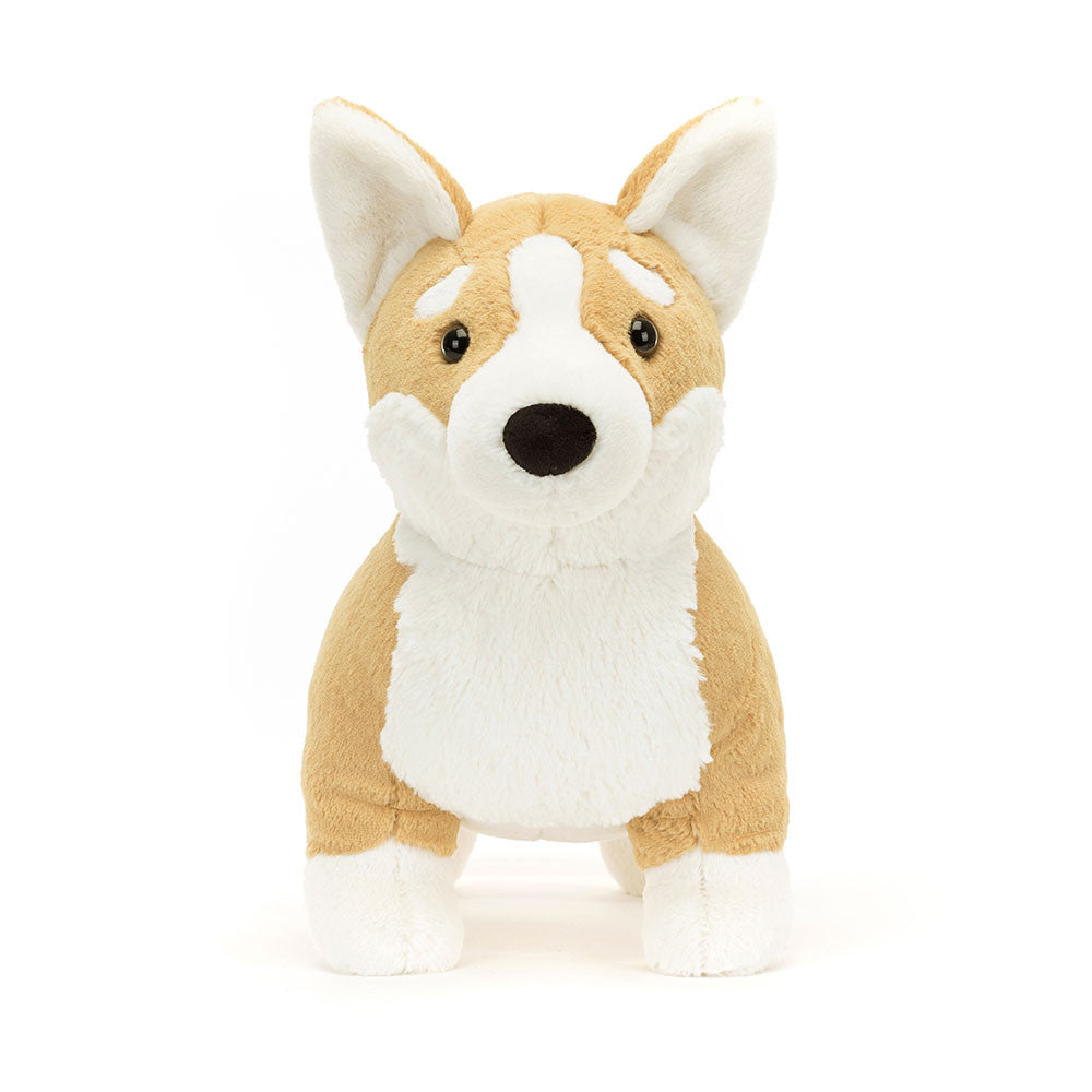 Betty Corgi Big, Main View