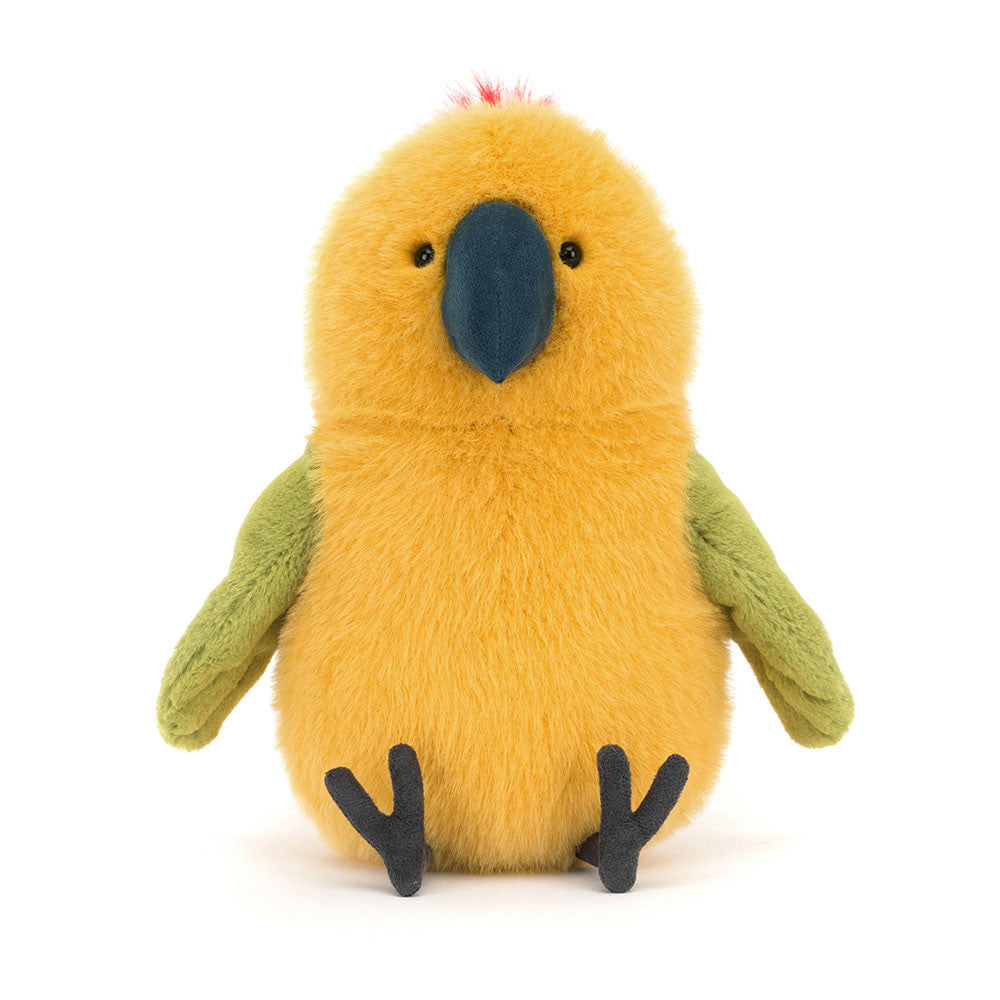 Budgeby Parrot, View 4