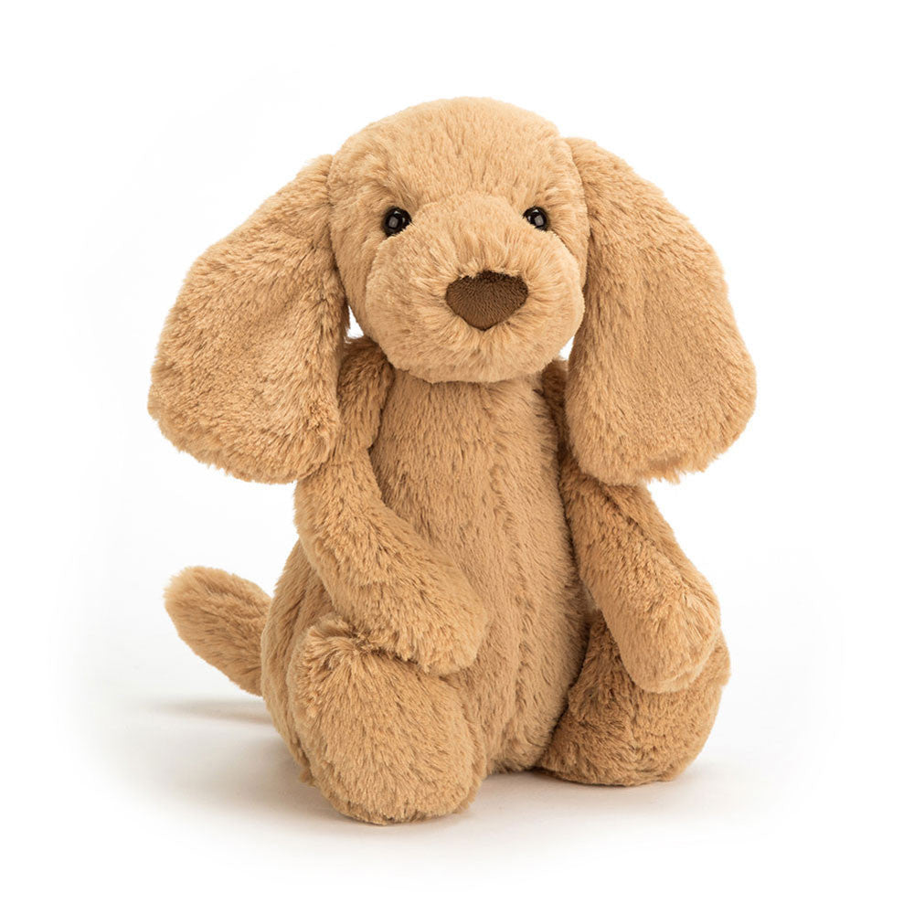 If I Were a Dog Board Book and Bashful Toffee Puppy, View 3