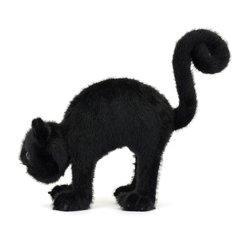 Spookipaws Cat, View 2